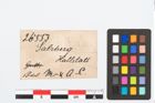 Etikett zu Bronzepaukenfibel (NHMW-PRAE-026553)